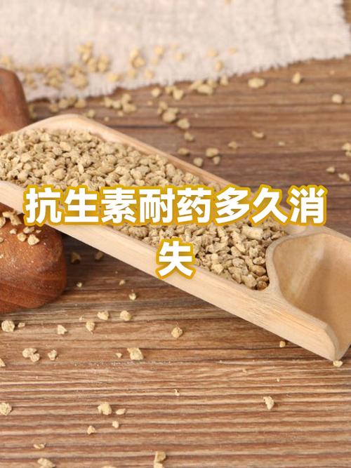 耐药性一般多久会消失