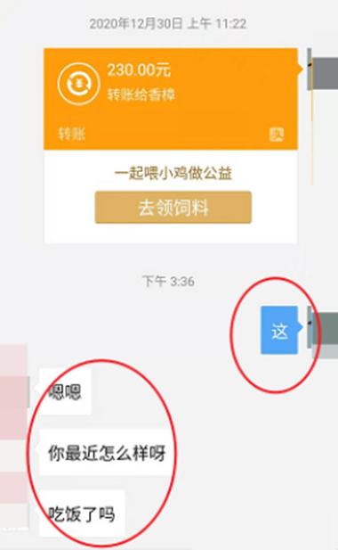 支付宝可以导出聊天记录吗