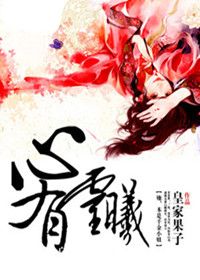 心有灵曦 小说