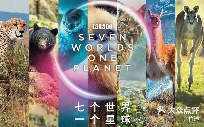 七个星球普通话版免费观看