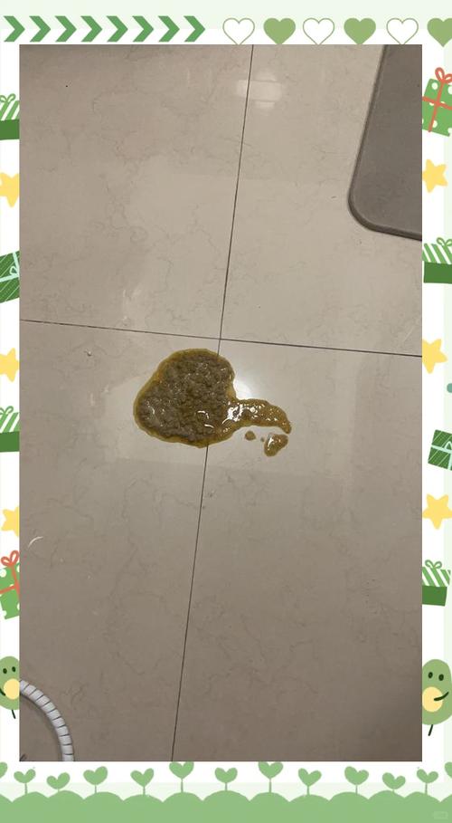 猫咪吐透明液体带白沫