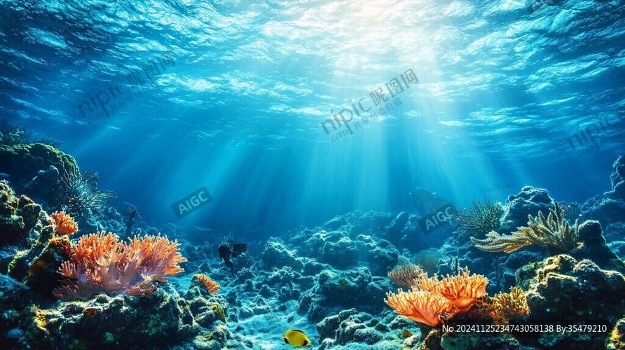 海底世界视频大全高清观看