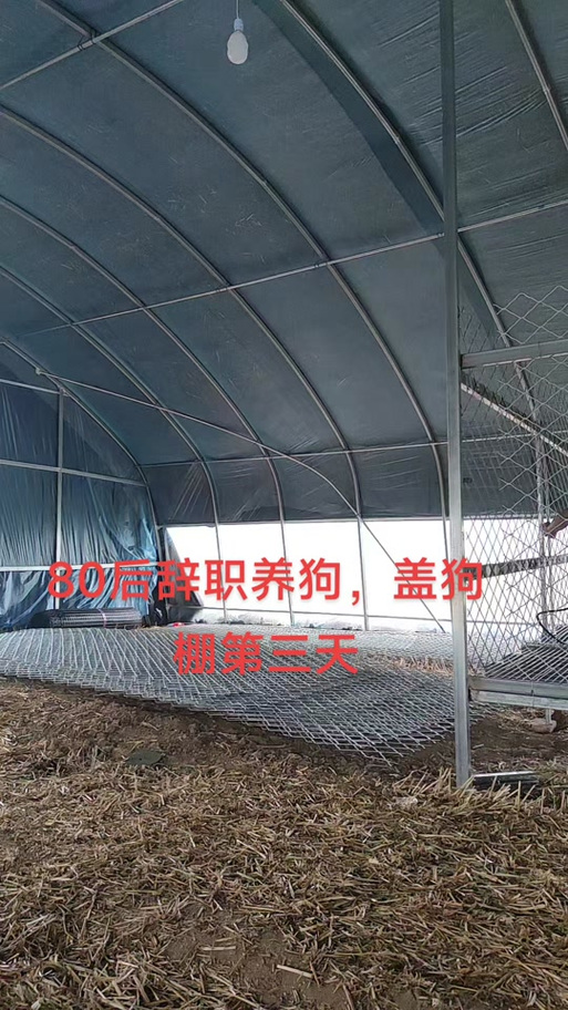 大棚养狗图片图标