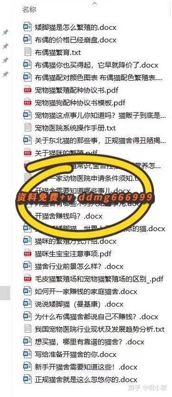 卖猫一年能赚多少钱
