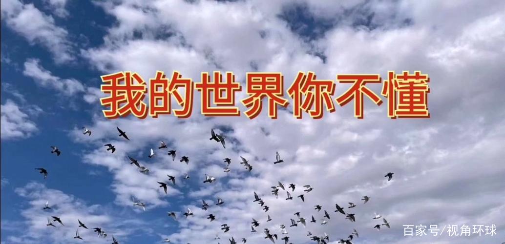 我的世界你不懂的说说
