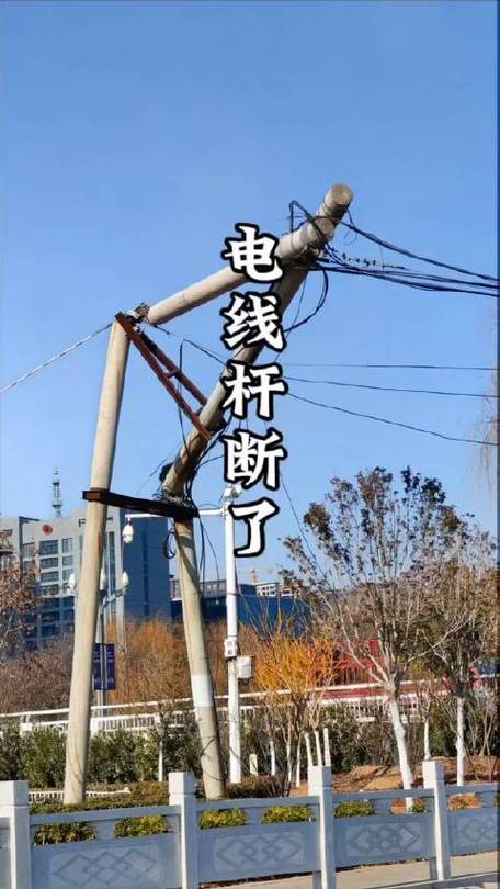 电线断了怎么办