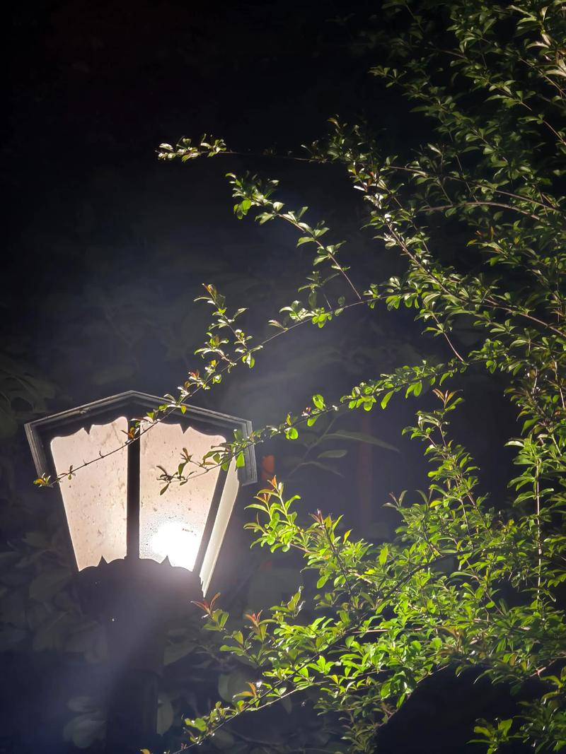 夜间图片风景图片