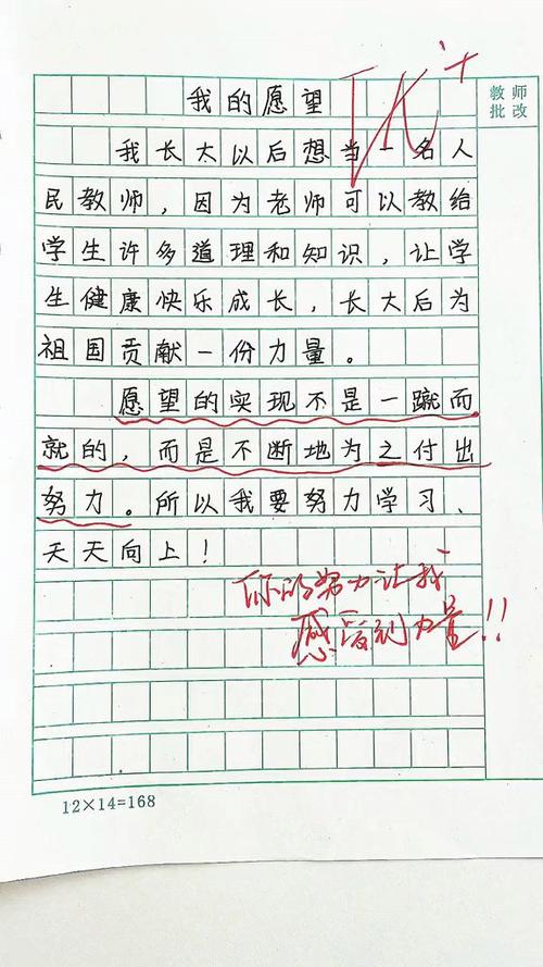 二年级小练笔