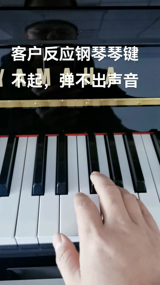 钢琴琴键摁下去不回弹
