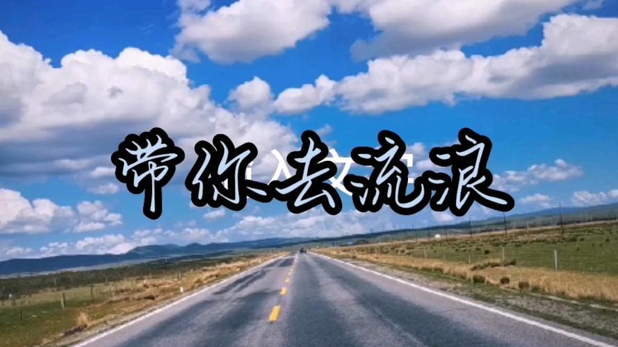 为你去流浪为你去疯狂