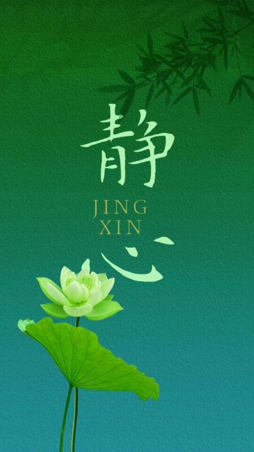 静态心率30多