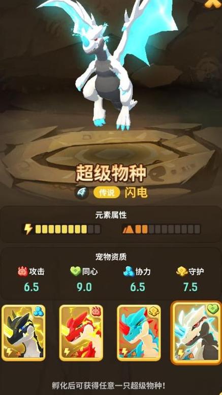 不休的乌拉拉外服叫什么