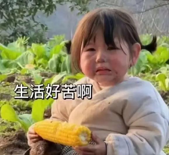 人类幼崽调皮捣蛋文案