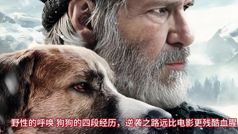 追剧狗影视