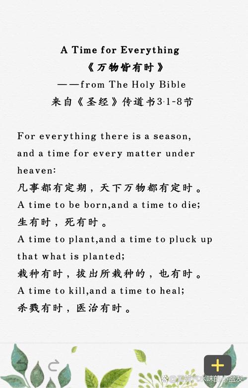 圣经中最美的图片