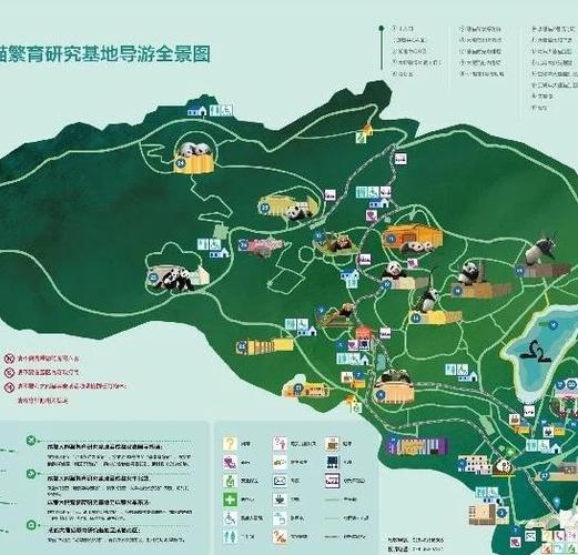 成都大熊猫基地游玩攻略