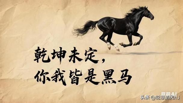 未到最后你我皆黑马
