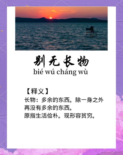 别无长物与身无长物截图
