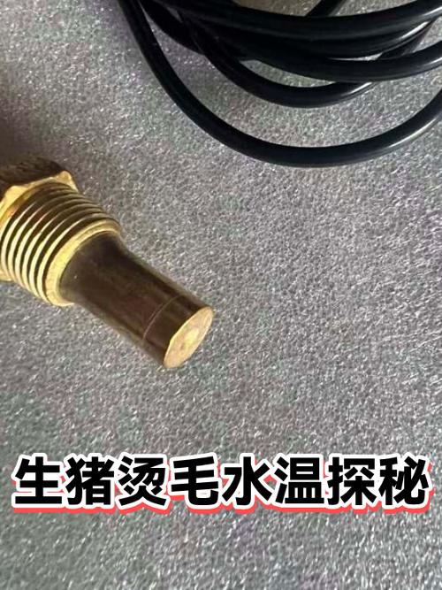 羊烫毛和猪烫毛区别