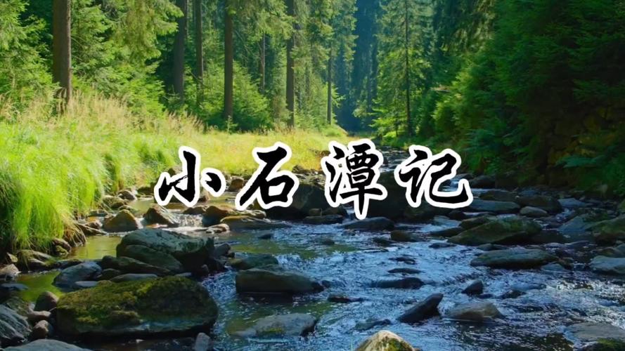 我的世界小石潭记