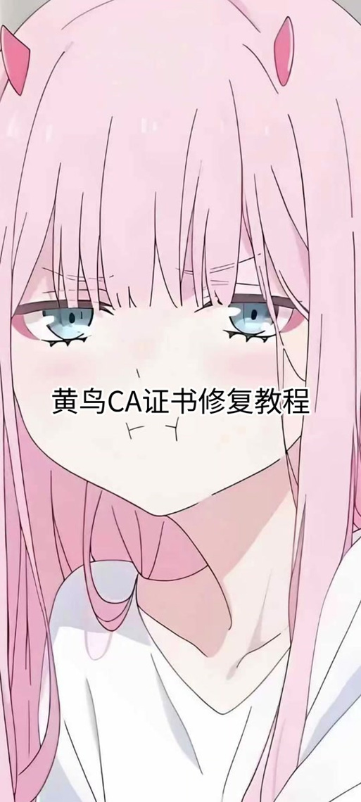 小黄鸟抓包QQ号码教程