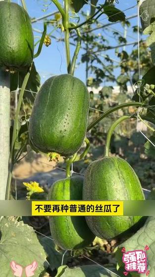 苹果怎么删除丝瓜描述文件缩略图