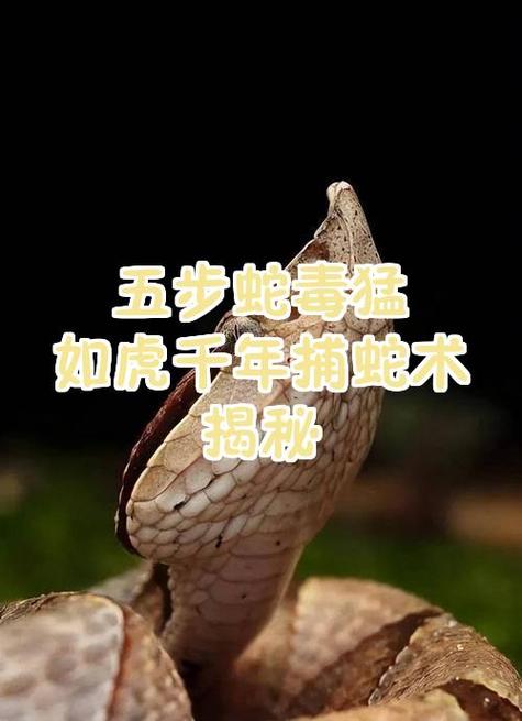 五步蛇的毒性有多大