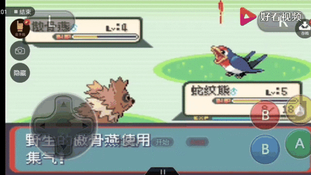 口袋妖怪 蛇纹木