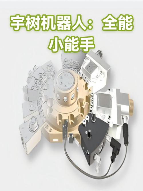 全能小能手是什么意思