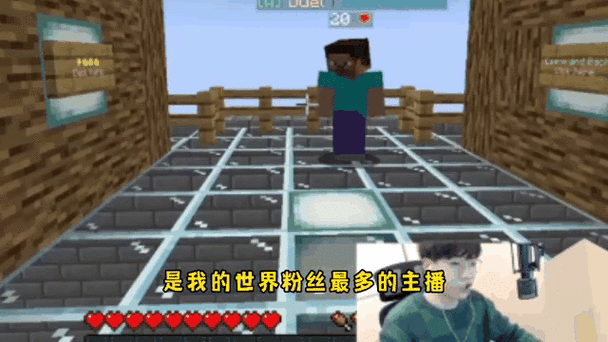 我的世界粉丝最多的主播缩略图