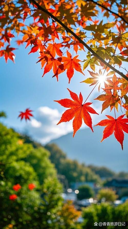 最美秋日红叶高清壁纸