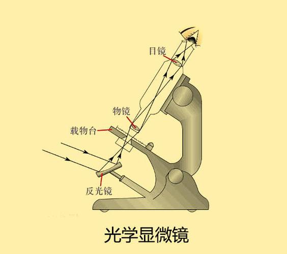 地铁跑酷最高多少倍