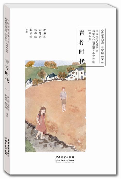 青柠时代小说