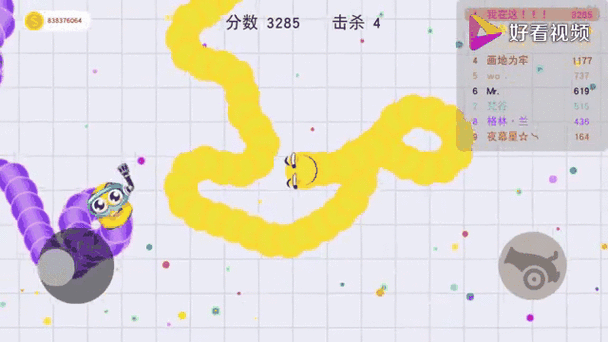 贪吃蛇大作战我为什么会死