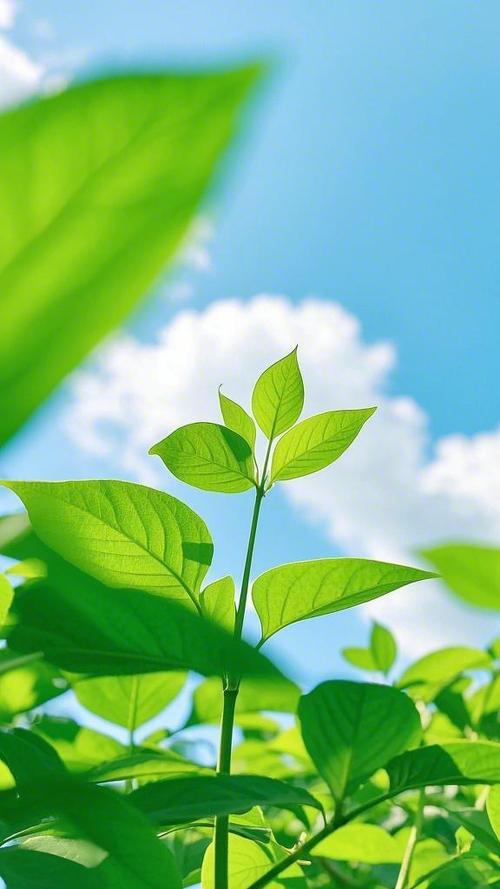 朋友圈的图片大全