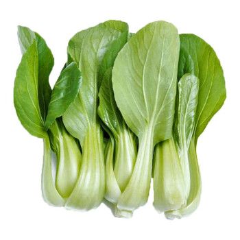 大白菜图片素材缩略图