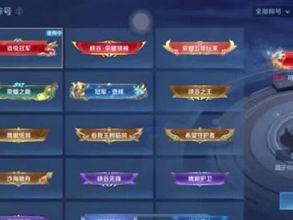 冠军称号和光环哪个好截图