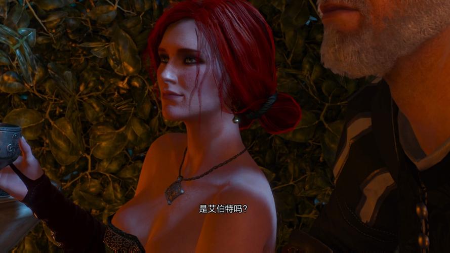 巫师3绅士版不显示人物
