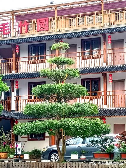 出来农家乐散心的说说