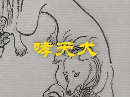 哮天犬又叫什么神君
