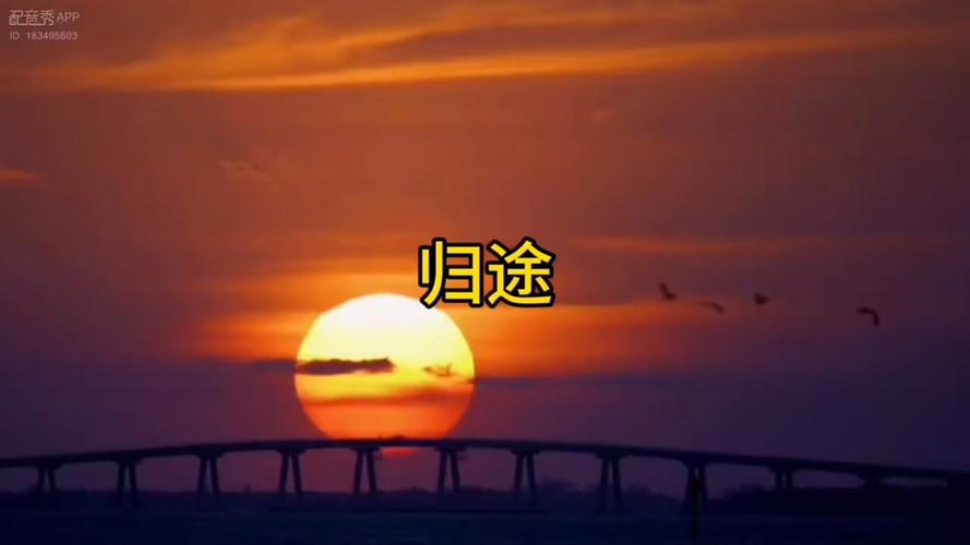为什么极速光轮回不开