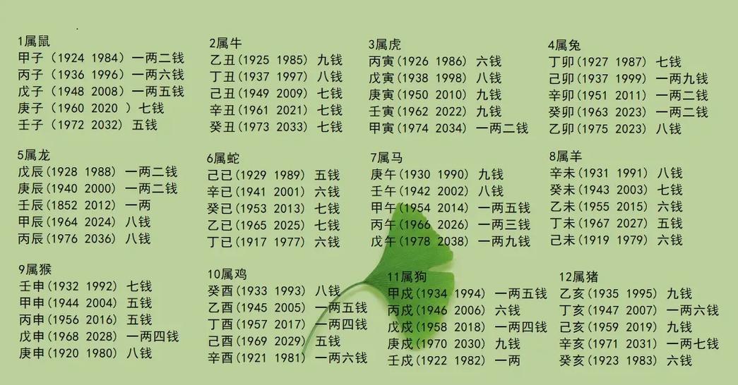 八字是哪八字