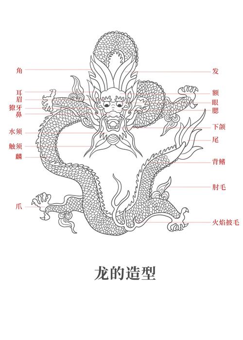 长龙5501详细组装图解