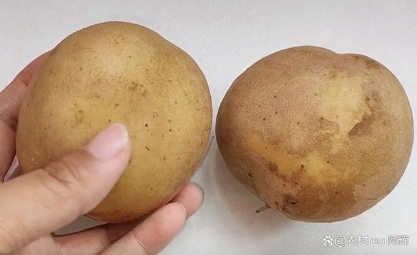 土豆去皮的梗叫什么