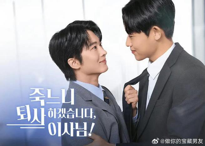 社长我宁愿辞职也不想死韩剧完整版