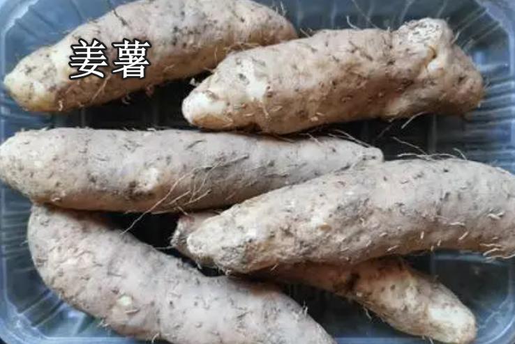 木薯和姜薯是一样的吗