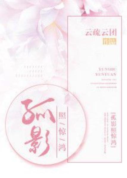 孤影照惊鸿小说
