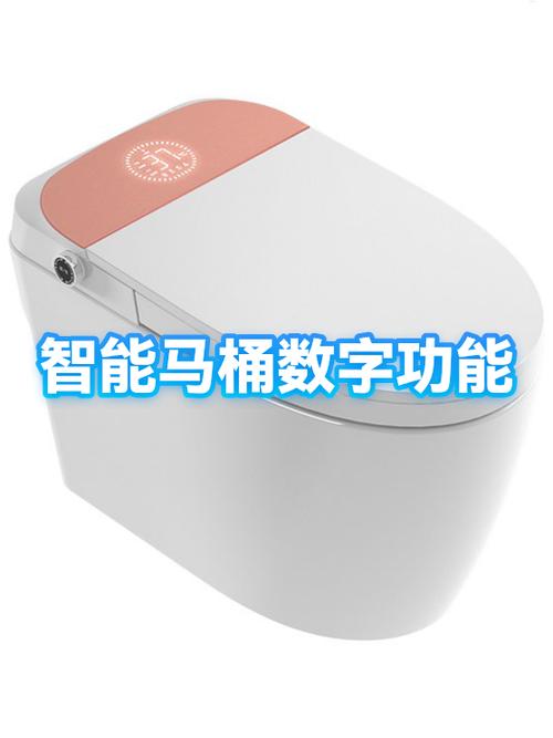 智能马桶喷头漏水缩略图