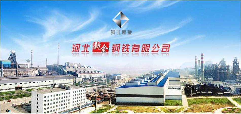 新金官网