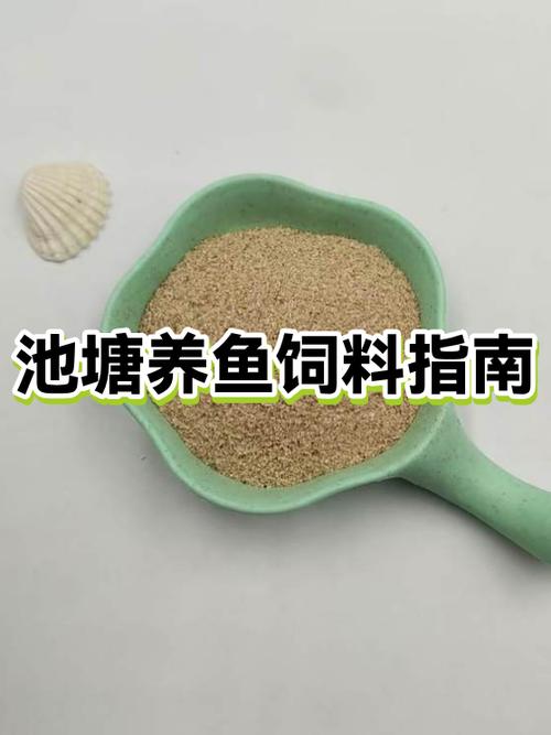鱼塘养鱼喂什么粮食